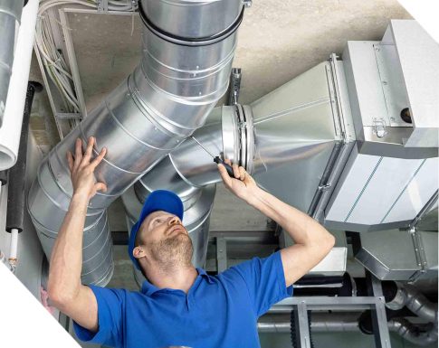 3sectionbanaszmoknio956